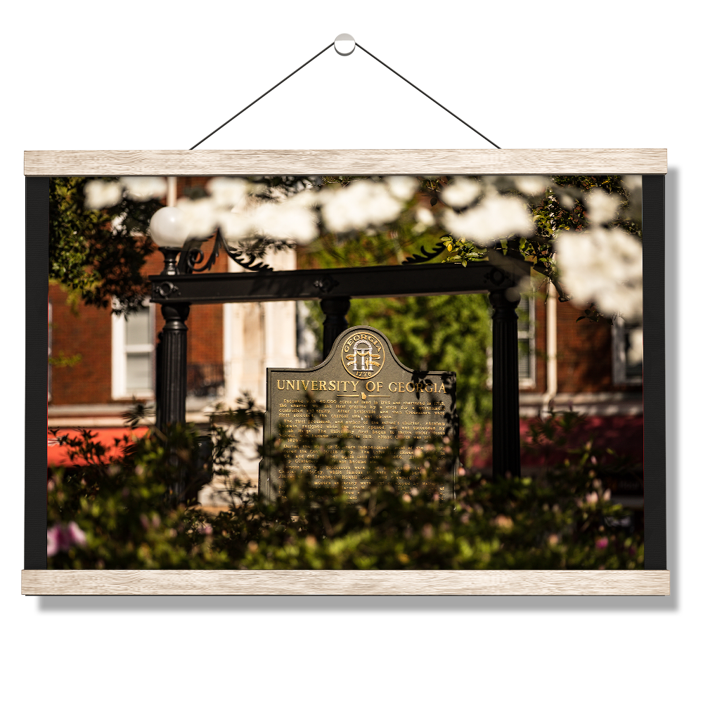 Georgia Bulldogs - Looking Through the Arch - College Wall Art #Canvas