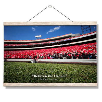 Georgia Bulldogs - Between the Hedges UGA - College Wall Art #Hanging Canvas