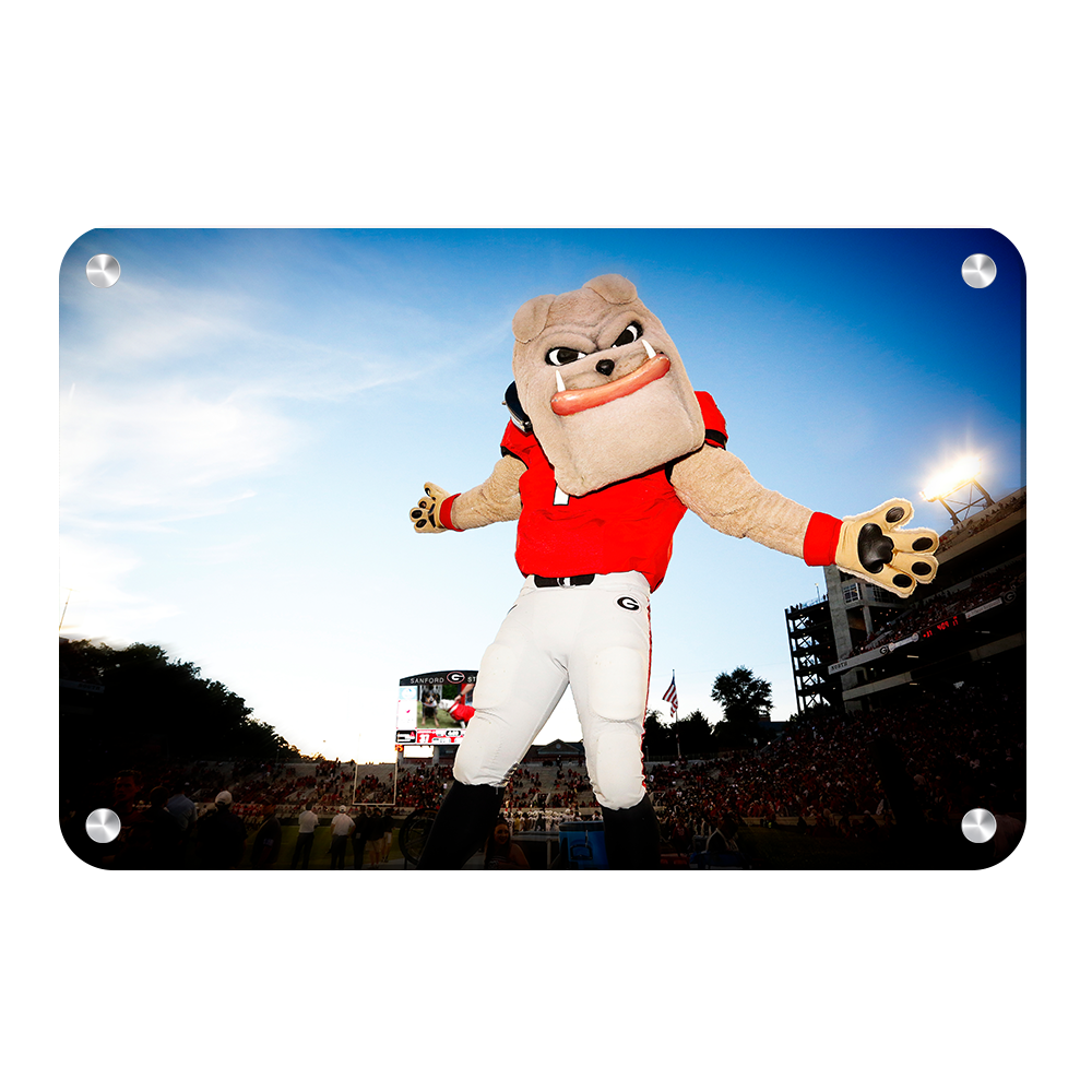 Georgia Bulldogs - Hairy the Dawg - College Wall Art #Canvas