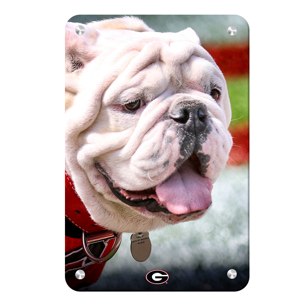 Georgia Bulldogs - Uga Portrait - College Wall Art #Canvas
