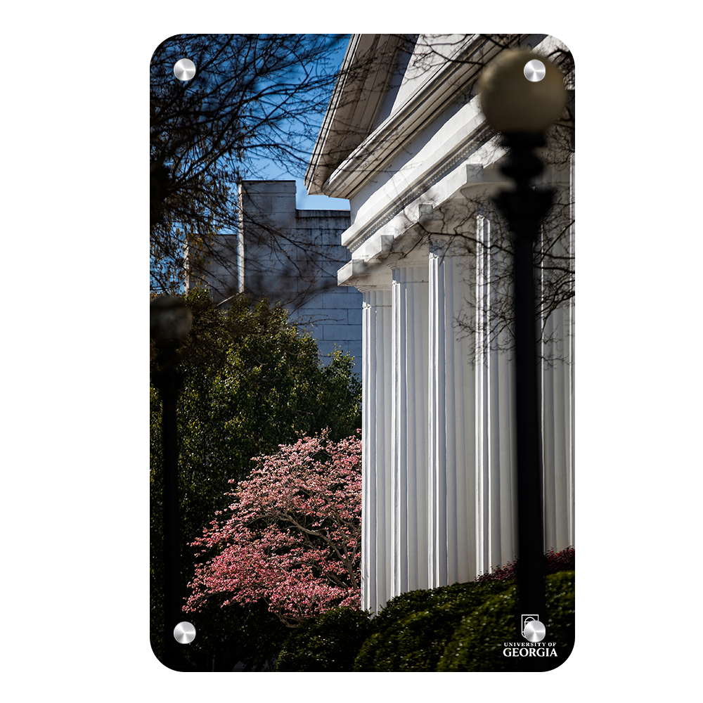 Georgia Bulldogs - Pillars of Strength - College Wall Art #Canvas