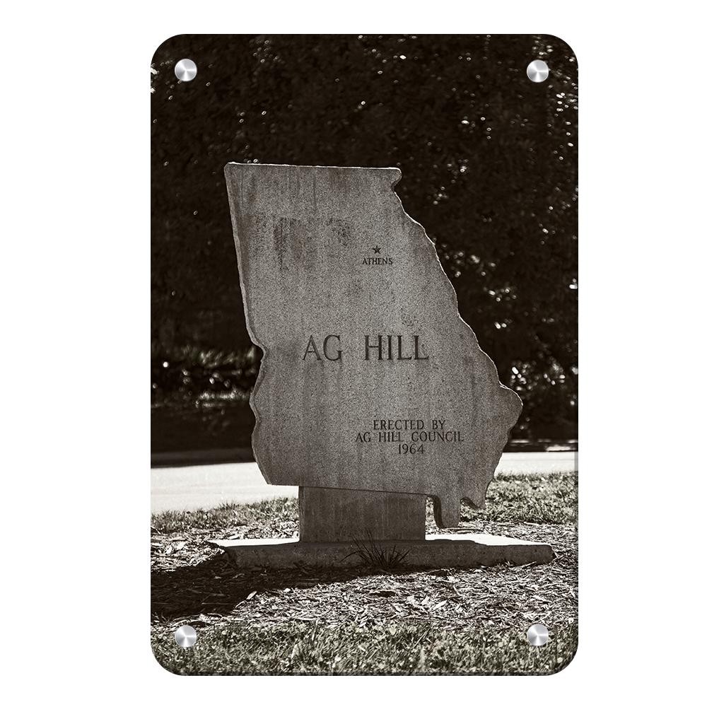 Georgia Bulldogs - AG Hill - College Wall Art #Canvas