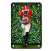 Georgia Bulldogs - Through the Hedges Oil Painting - College Wall Art #Metal