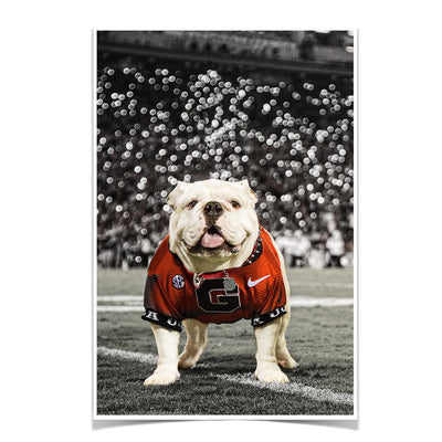 Georgia Bulldogs - Uga Under the Lights - College Wall Art #Poster