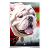 Georgia Bulldogs - Uga Portrait - College Wall Art #Poster