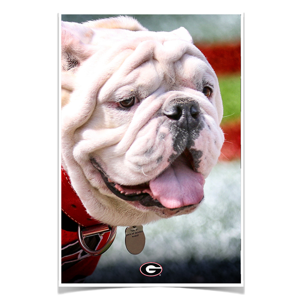 Georgia Bulldogs - Uga Portrait - College Wall Art #Canvas