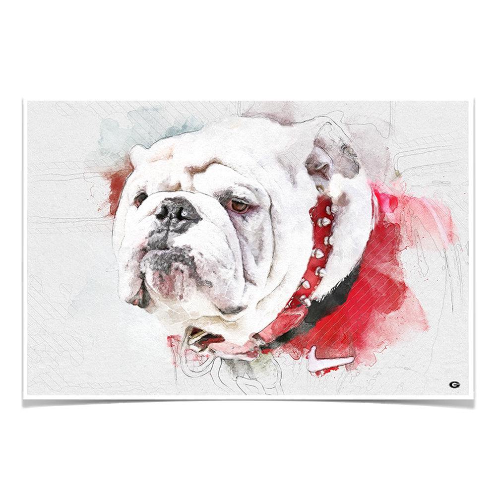 UGA Georgia Bulldogs: UGA X Mascot Photo Art Poster (Large: 18x24)