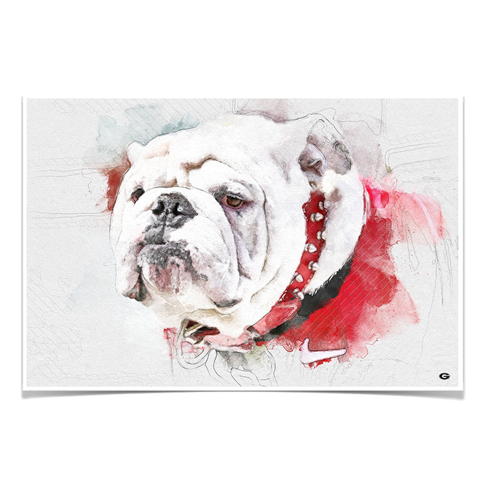 Georgia Bulldogs - Uga Painting - College Wall Art #Canvas