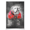 Georgia Bulldogs - The Dawg Painting - College Wall Art #Poster