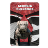 Georgia Bulldogs - Georgia Bulldogs - College Wall Art #PVC