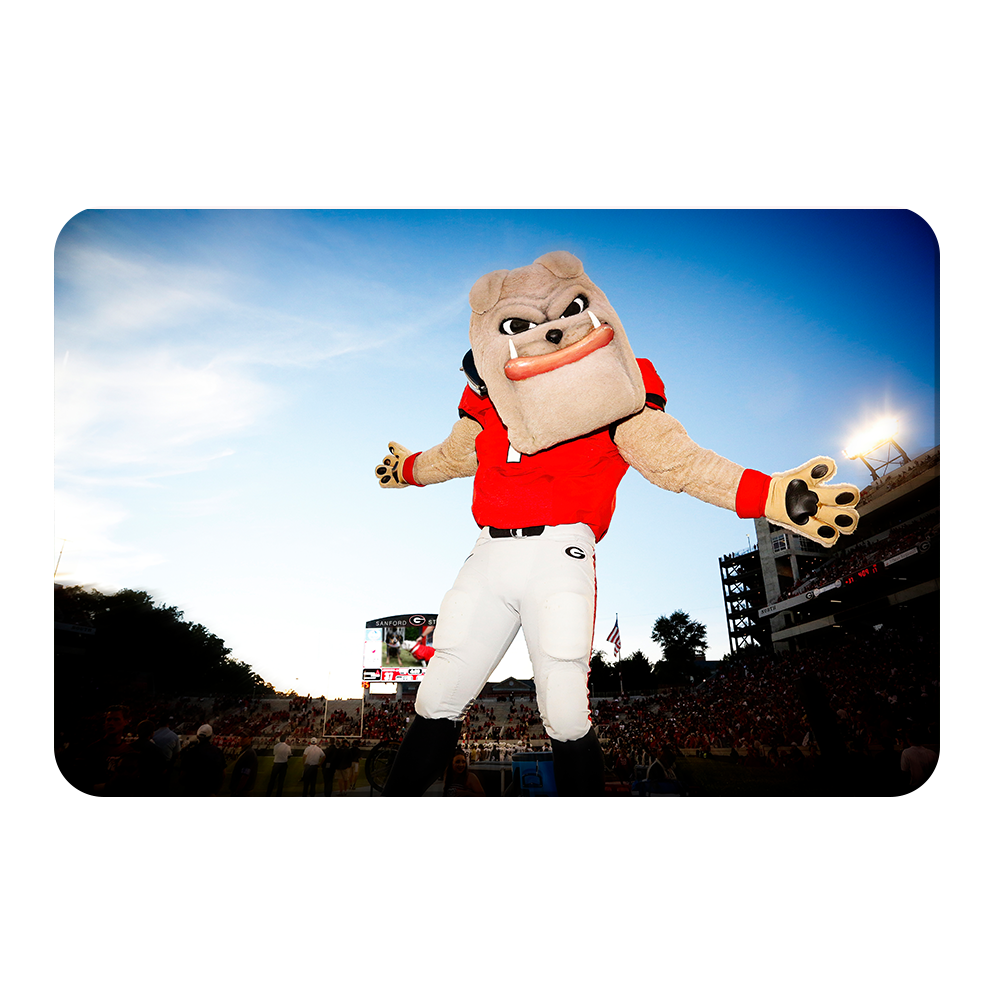 Georgia Bulldogs - Hairy the Dawg - College Wall Art #Canvas