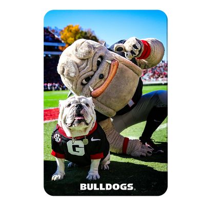 Georgia Bulldogs - Uga & Hairy the Dawg - College Wall Art #PVC