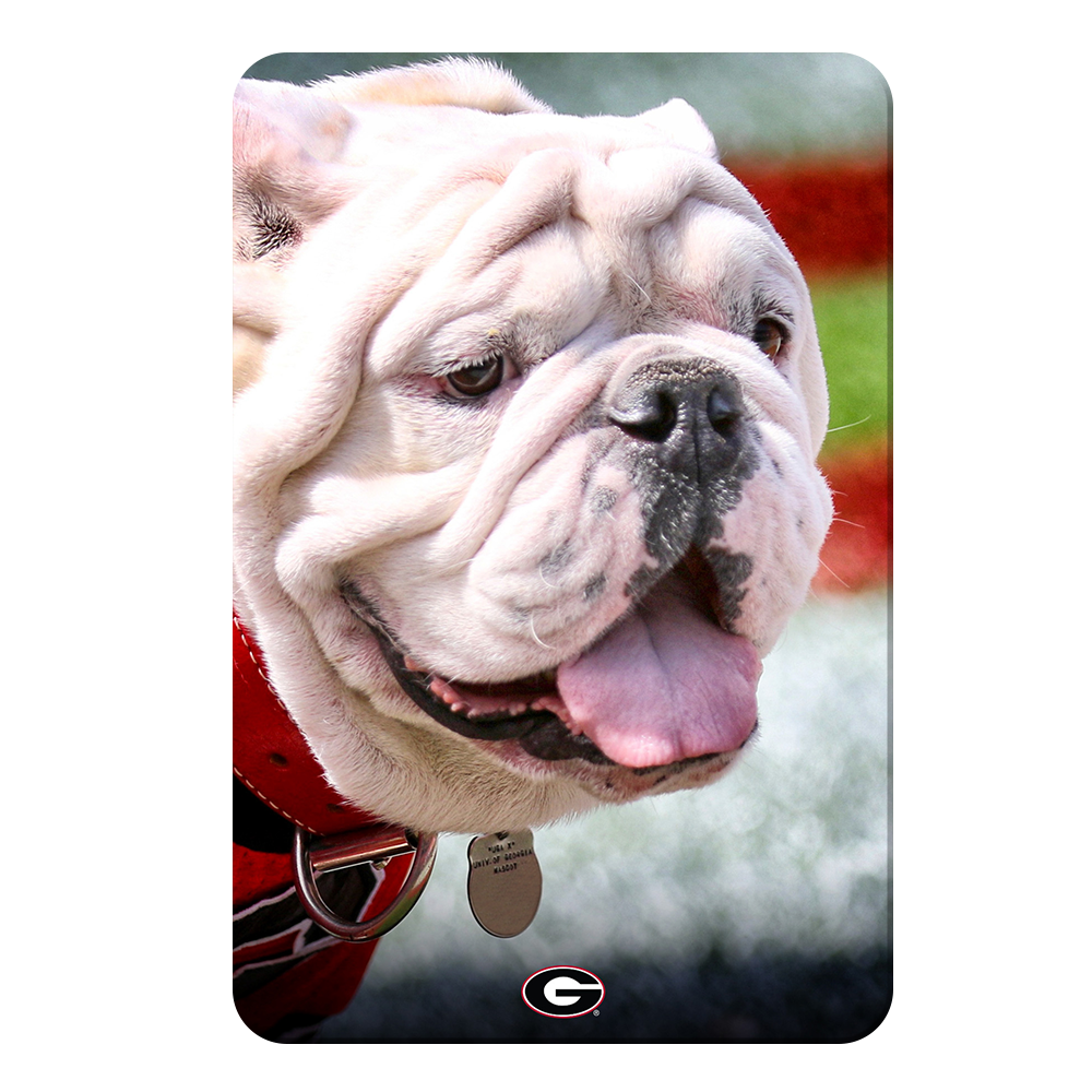 Georgia Bulldogs - Uga Portrait - College Wall Art #Canvas