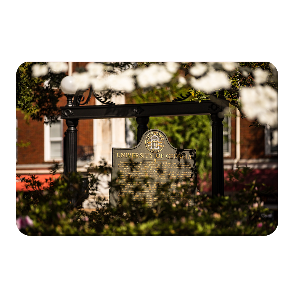 Georgia Bulldogs - Looking Through the Arch - College Wall Art #Canvas