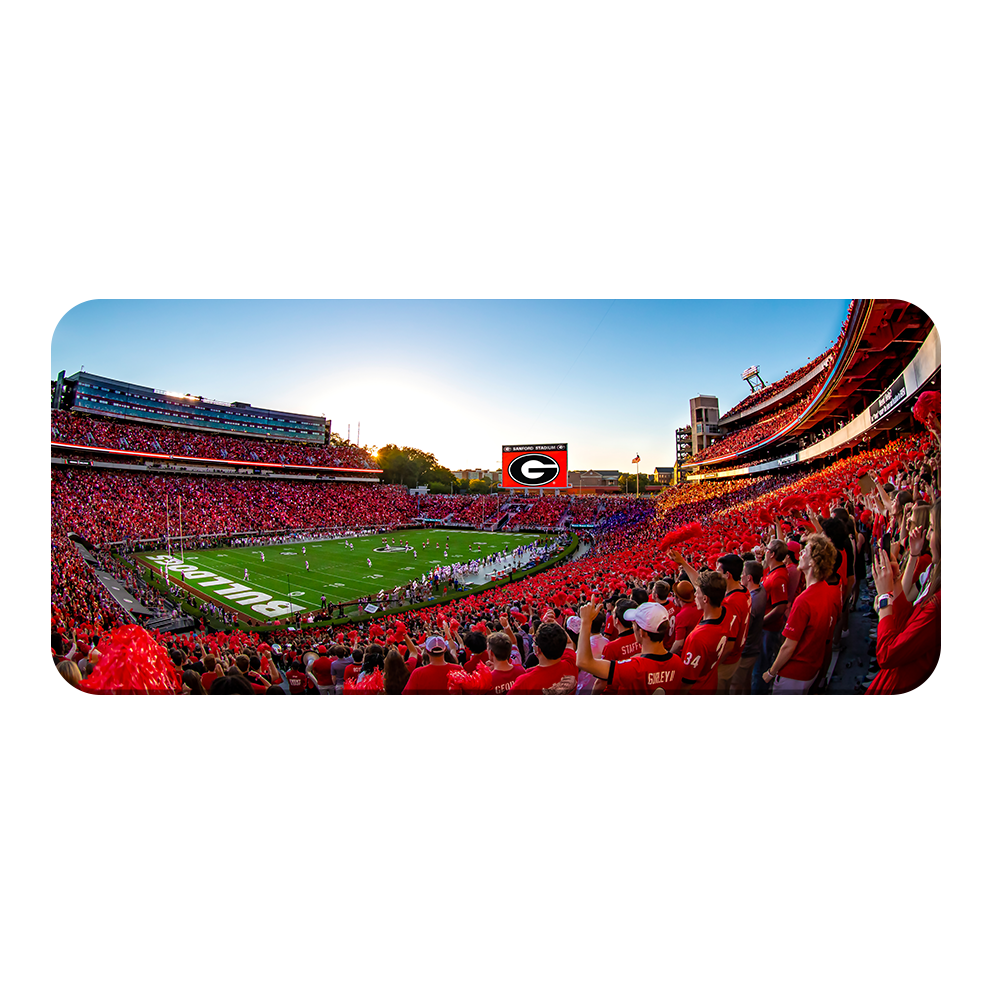 Georgia Bulldogs - Gooooo Georgia Panoramic - College Wall Art #Canvas