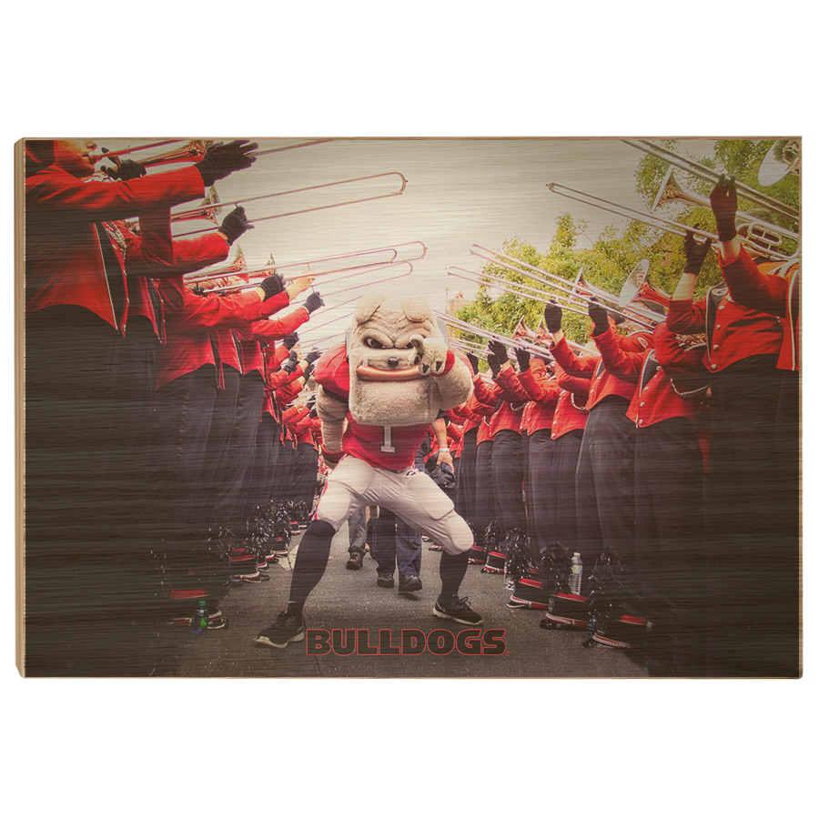 Georgia Bulldogs - Dawg Walk - College Wall Art #Canvas
