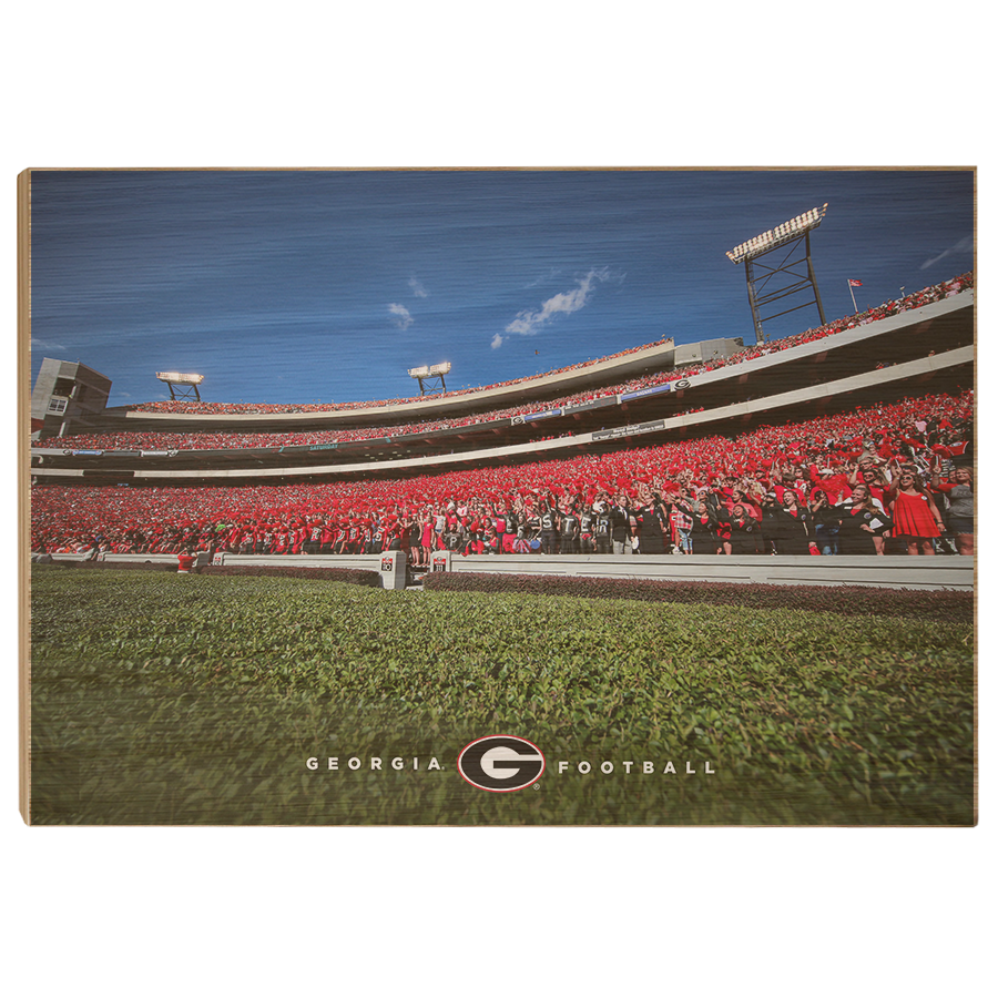 Georgia Bulldogs - Georgia Football - College Wall Art #Canvas