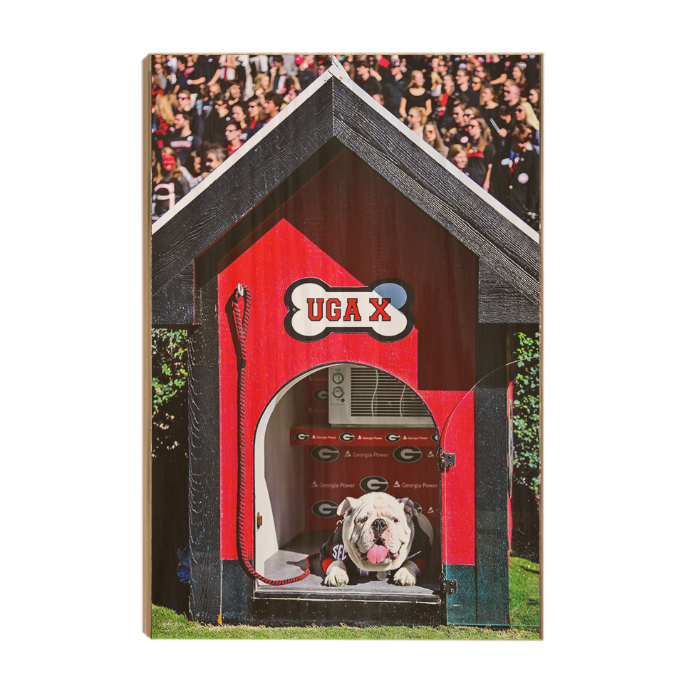 Georgia Bulldogs - Uga X in the House - College Wall Art #Canvas