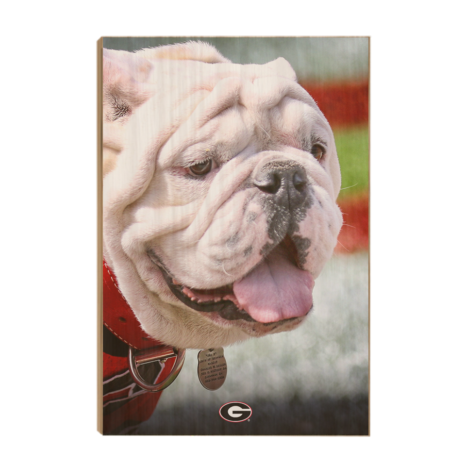 Georgia Bulldogs - Uga Portrait - College Wall Art #Canvas