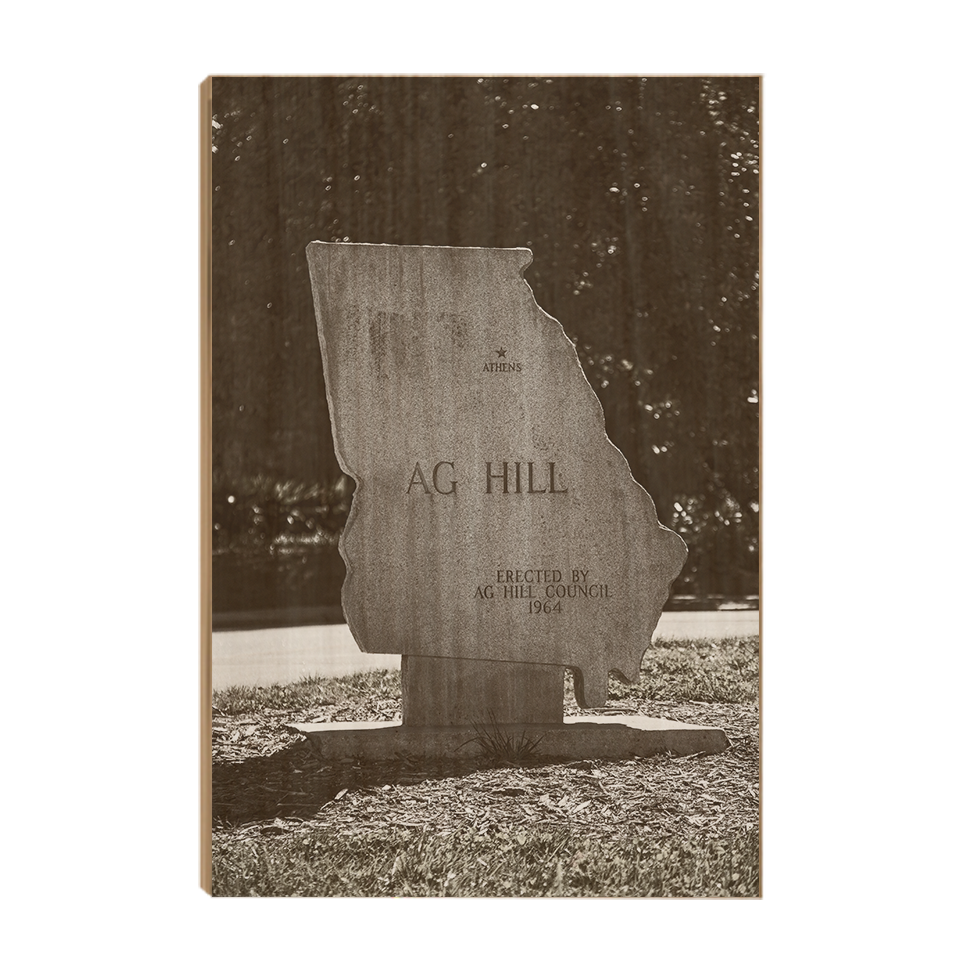 Georgia Bulldogs - AG Hill - College Wall Art #Canvas