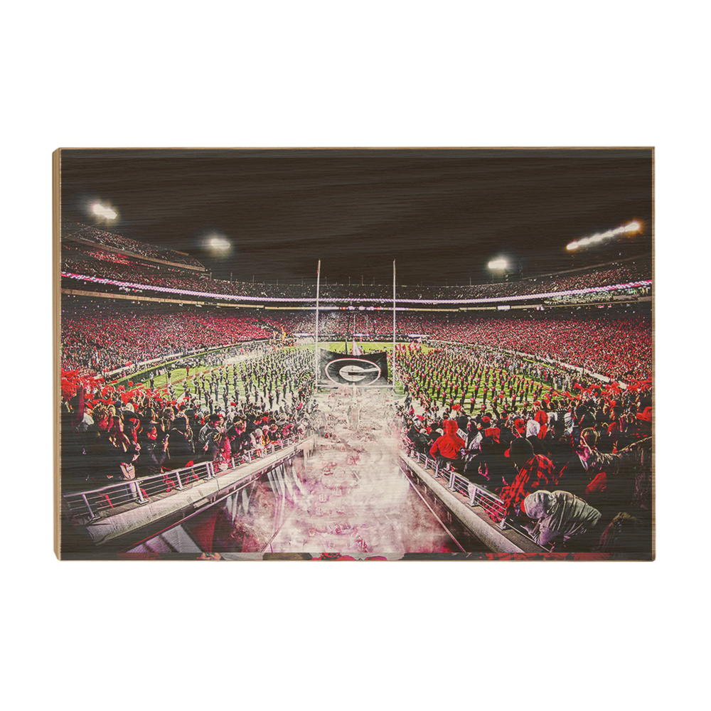 Georgia Bulldogs - Dawg Entrance - College Wall Art#Canvas