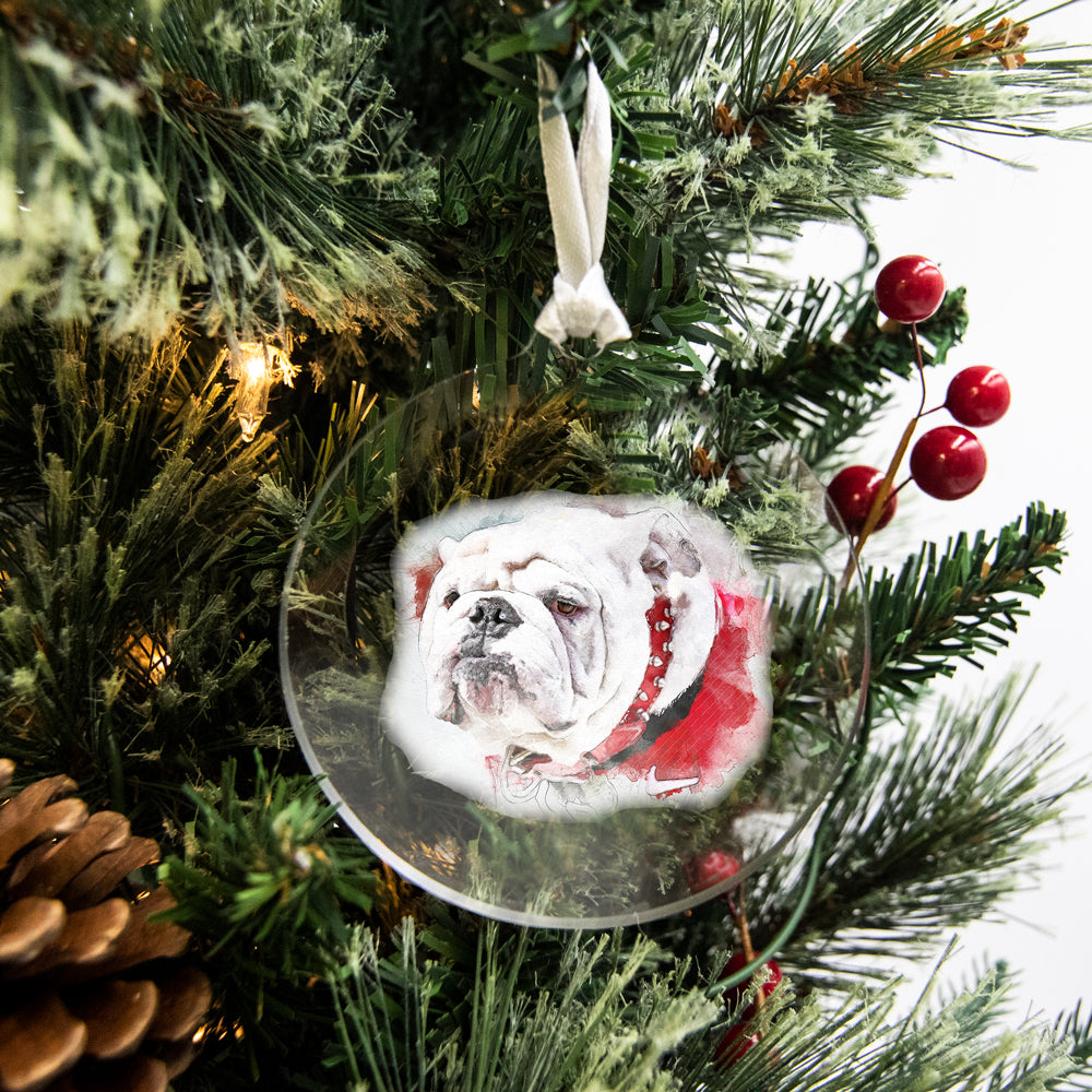 Georgia Bulldogs - Uga Paint Ornament & Bag Tag