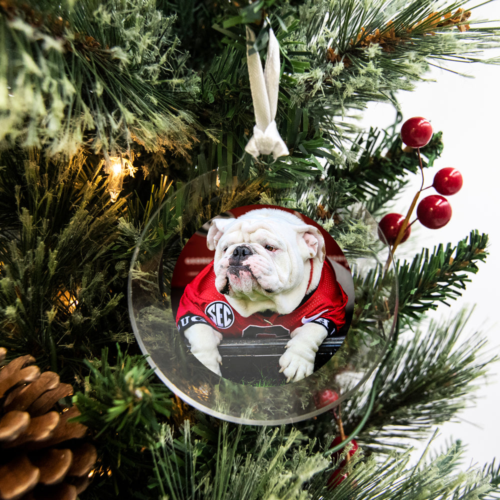 Georgia Bulldogs - Uga Chillin' Ornament & Bag Tag