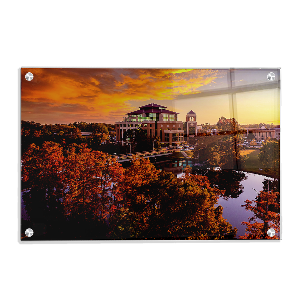 Louisiana Monroe Warhawks - Fall Bayou from Above - College Wall Art #Canvas