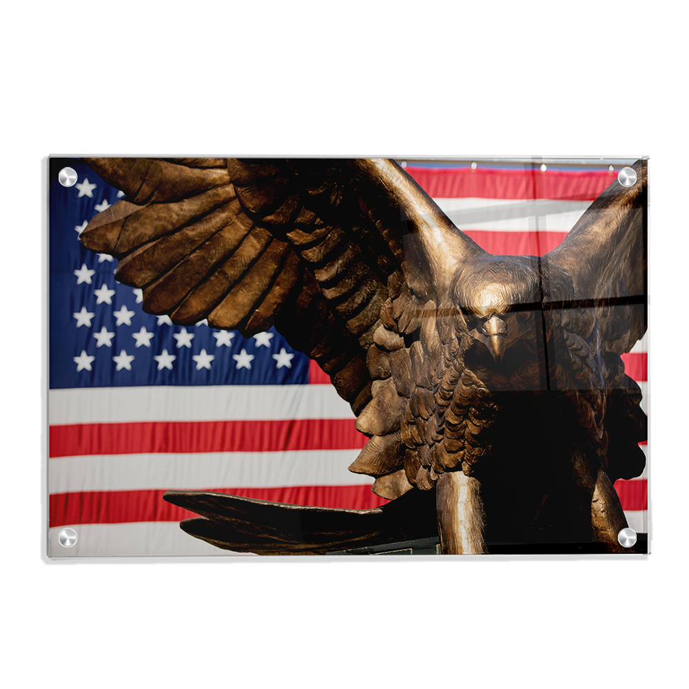 Louisiana Monroe Warhawks - Warhawk Stars and Stripes - College Wall Art #Canvas