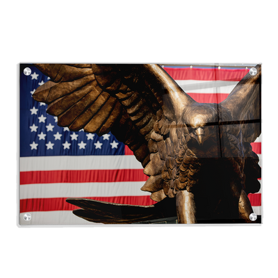 Louisiana Monroe Warhawks - Warhawk Stars and Stripes - College Wall Art #Acrylic