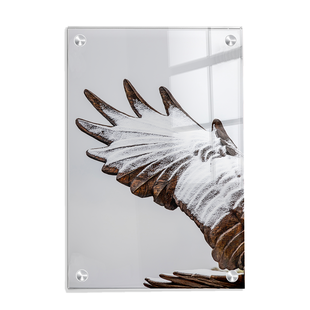 Louisiana Monroe Warhawks - Morning Snow - College Wall Art #Canvas