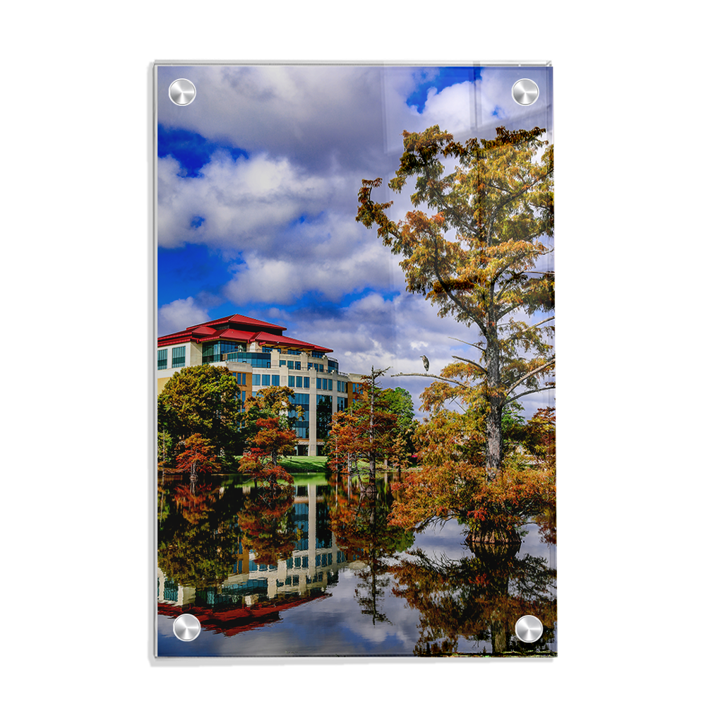 Louisiana Monroe Warhawks - Campus in the Clouds - College Wall Art #Canvas
