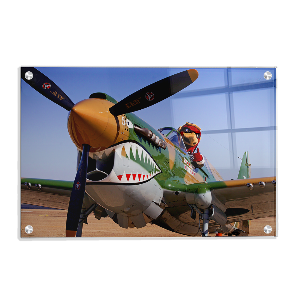 Louisiana Monroe Warhawks - Curtiss P 40 - College Wall Art #Canvas