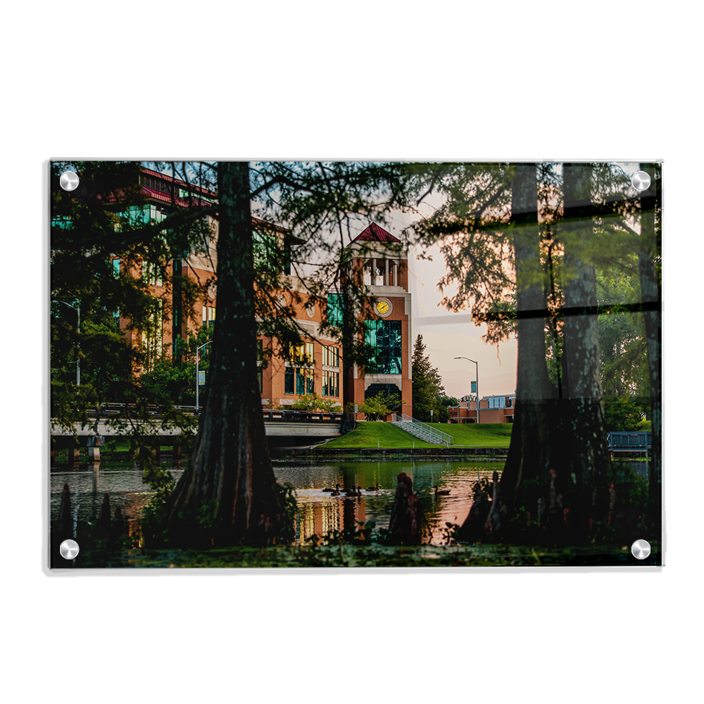 Louisiana Monroe Warhawks - Through the Bayou - College Wall Art #Canvas