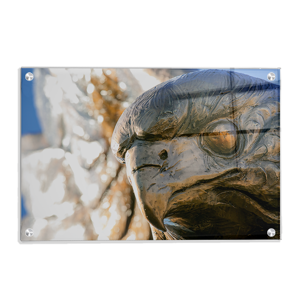 Louisiana Monroe Warhawks - Warhawk - College Wall Art #Canvas