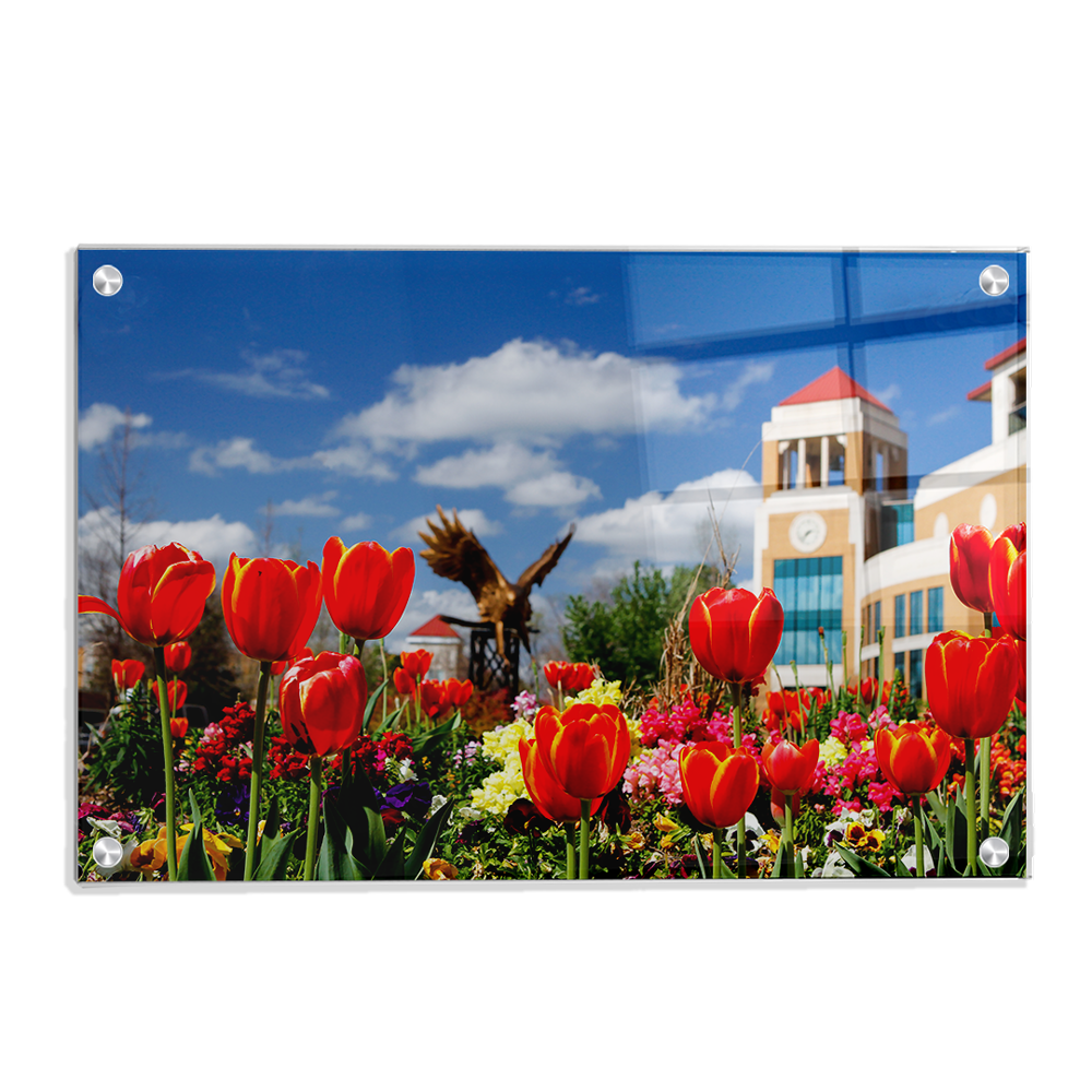 Louisiana Monroe Warhawks - ULM Tulips - College Wall Art #Canvas