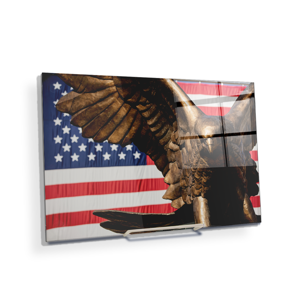 Louisiana Monroe Warhawks - Warhawk Stars and Stripes - College Wall Art #Canvas