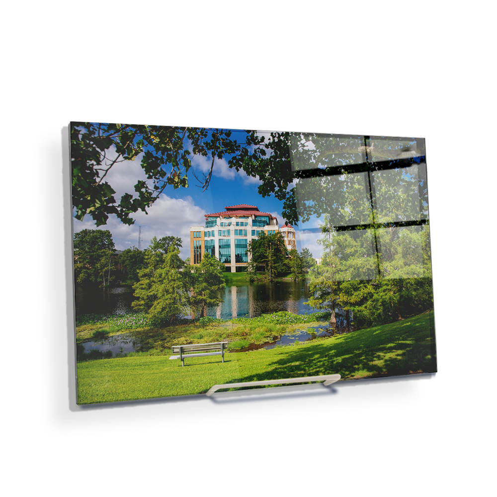 Louisiana Monroe Warhawks - Success Center - College Wall Art #Canvas