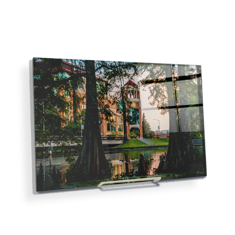 Louisiana Monroe Warhawks - Through the Bayou - College Wall Art #Canvas