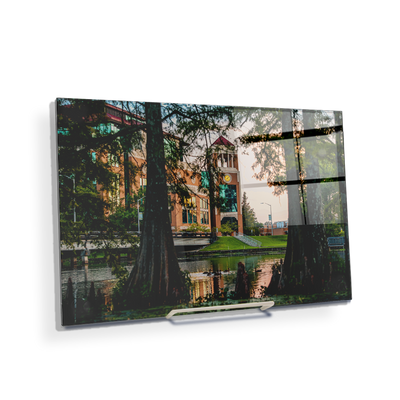 Louisiana Monroe Warhawks - Through the Bayou - College Wall Art #Acrylic Mini