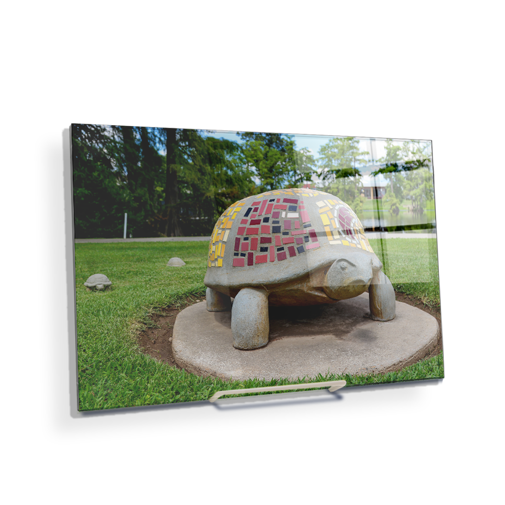 Louisiana Monroe Warhawks - Bayou Park - College Wall Art #Canvas