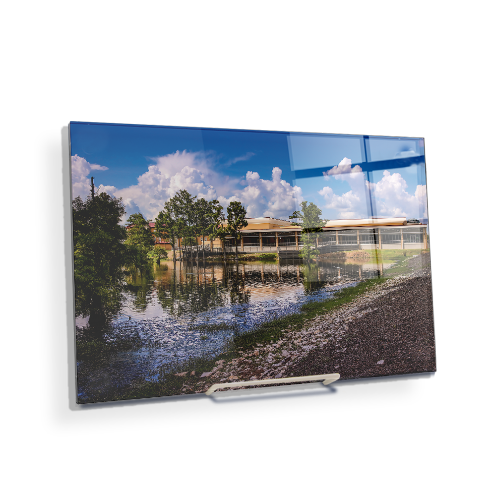 Louisiana Monroe Warhawks - Bayou Pointe - College Wall Art #Canvas