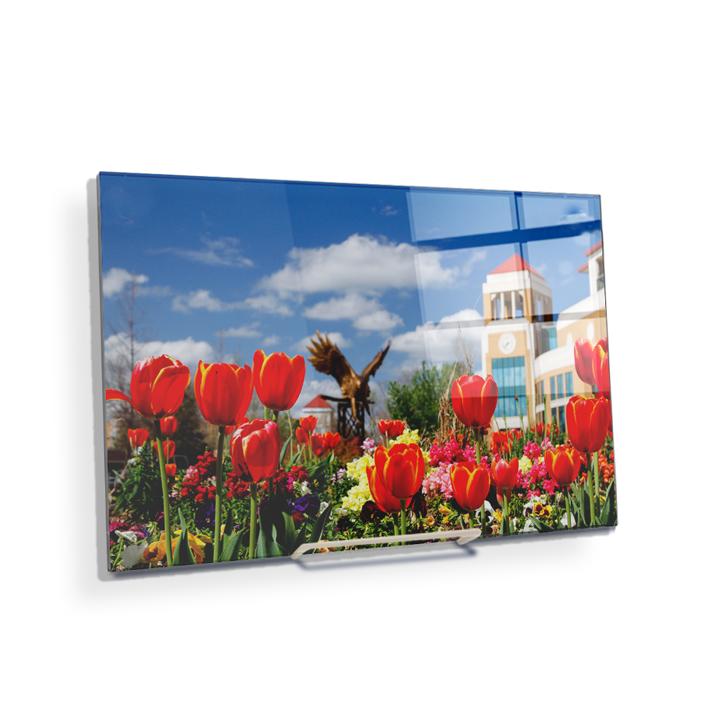 Louisiana Monroe Warhawks - ULM Tulips - College Wall Art #Canvas