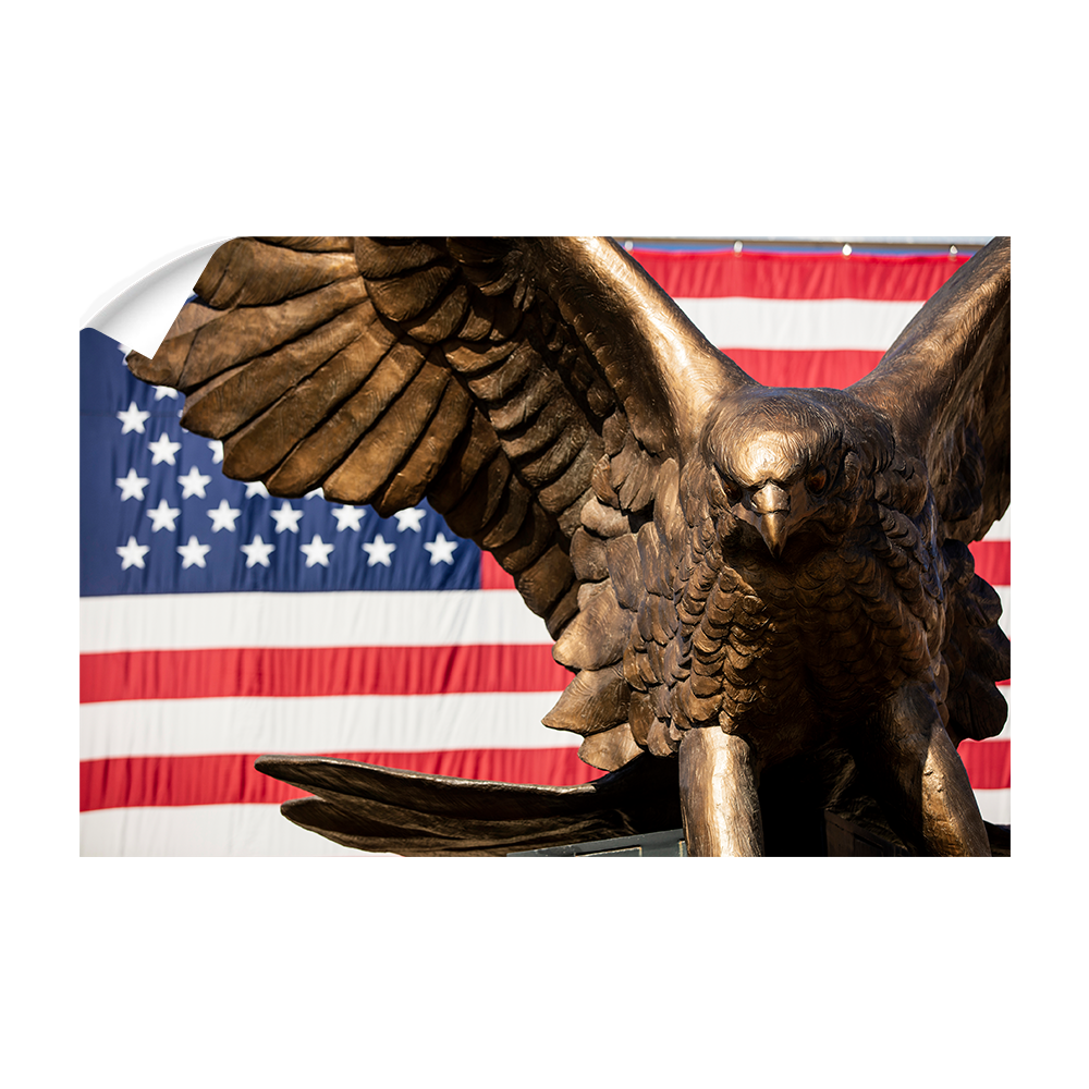 Louisiana Monroe Warhawks - Warhawk Stars and Stripes - College Wall Art #Canvas