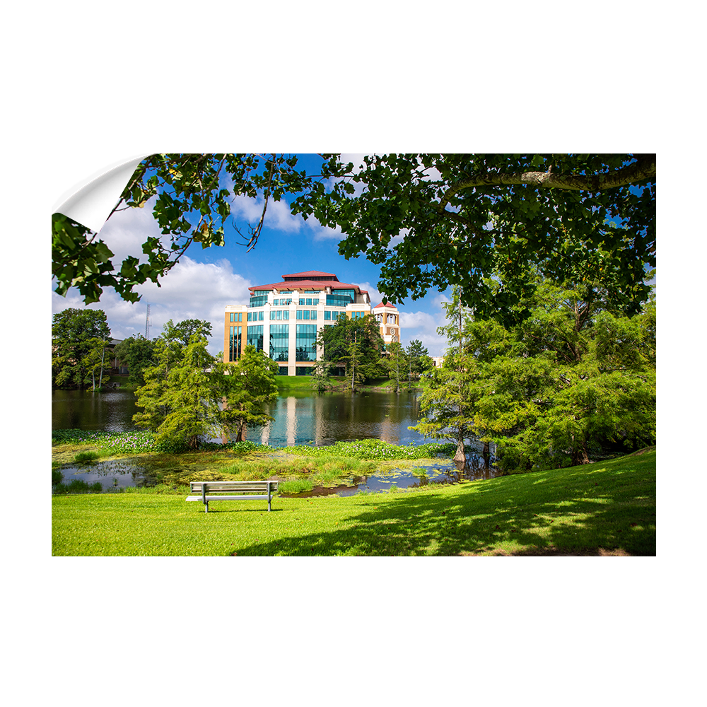 Louisiana Monroe Warhawks - Success Center - College Wall Art #Canvas