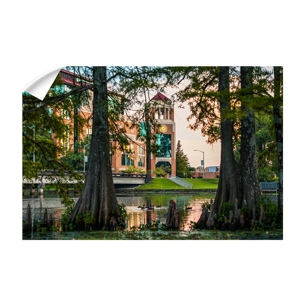 Louisiana Monroe Warhawks - Through the Bayou - College Wall Art #Canvas