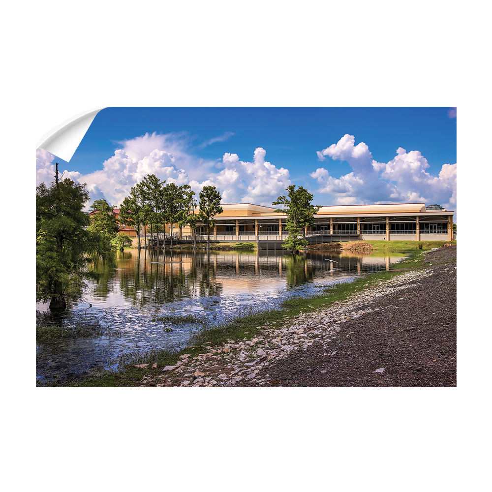 Louisiana Monroe Warhawks - Bayou Pointe - College Wall Art #Canvas