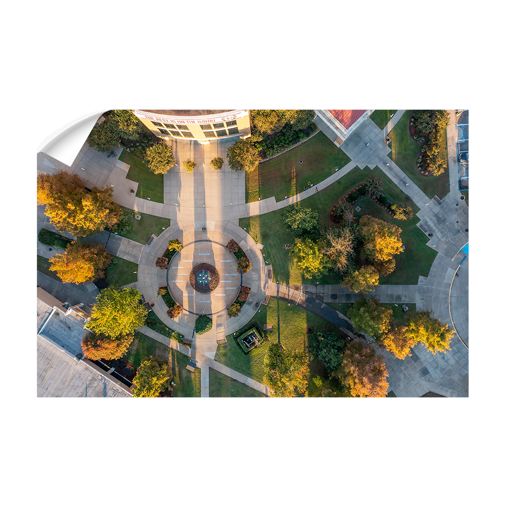 Louisiana Monroe Warhawks - The Best is on the Bayou - College wall Art #Canvas