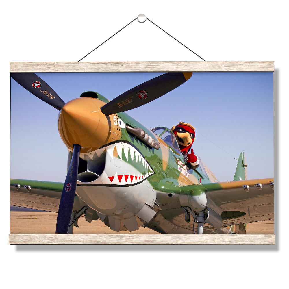 Louisiana Monroe Warhawks - Curtiss P 40 - College Wall Art #Canvas