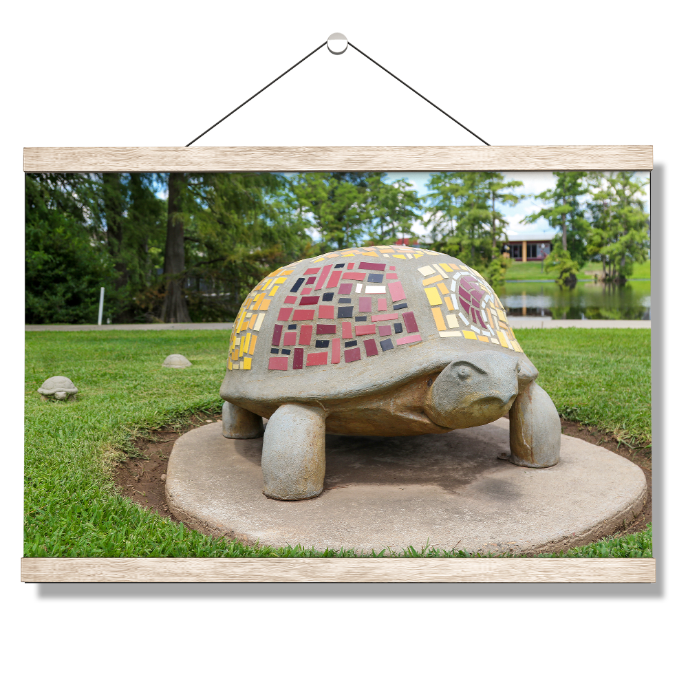 Louisiana Monroe Warhawks - Bayou Park - College Wall Art #Canvas